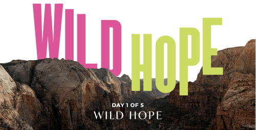 Wild Hope Devotional for Mothers